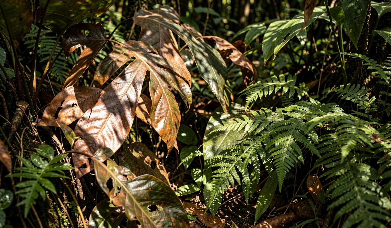Indonesian botanical textures